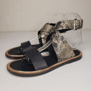 Vince Blac Snake Print Toe Loop Ankle Wrap Sandals